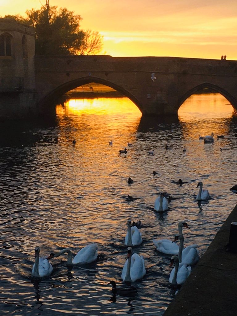 st-ives-bridge-1200